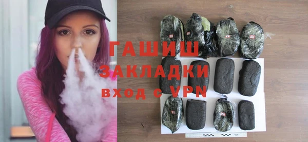 гашик Алексин