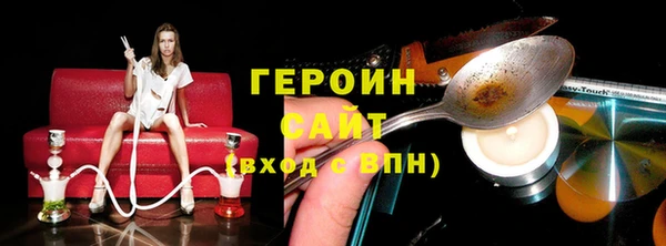 гашик Алексин