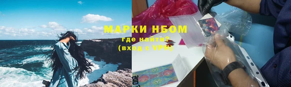 гашик Алексин