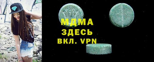 гашик Алексин