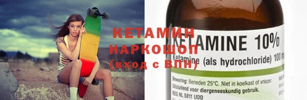 гашик Алексин