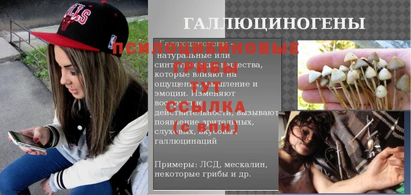 гашик Алексин