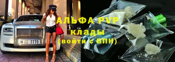 гашик Алексин