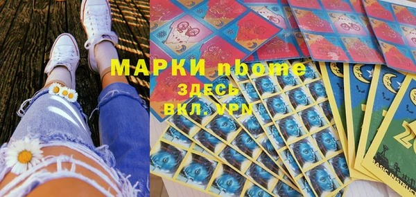 гашик Алексин