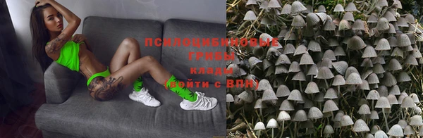гашик Алексин