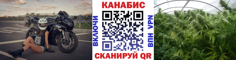 Канабис индика  наркошоп  Качканар 